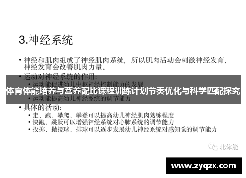 体育体能培养与营养配比课程训练计划节奏优化与科学匹配探究